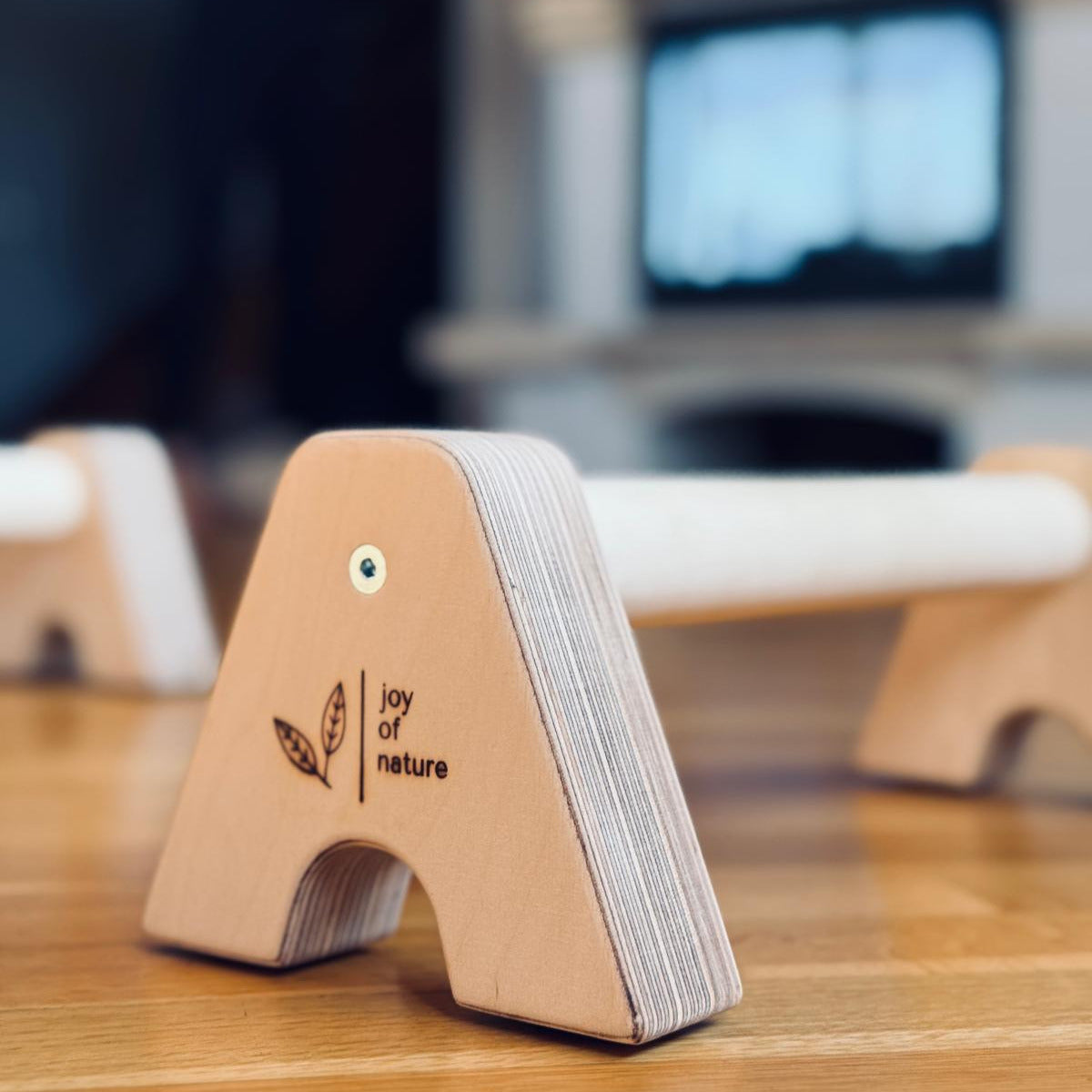 Koka parallettes