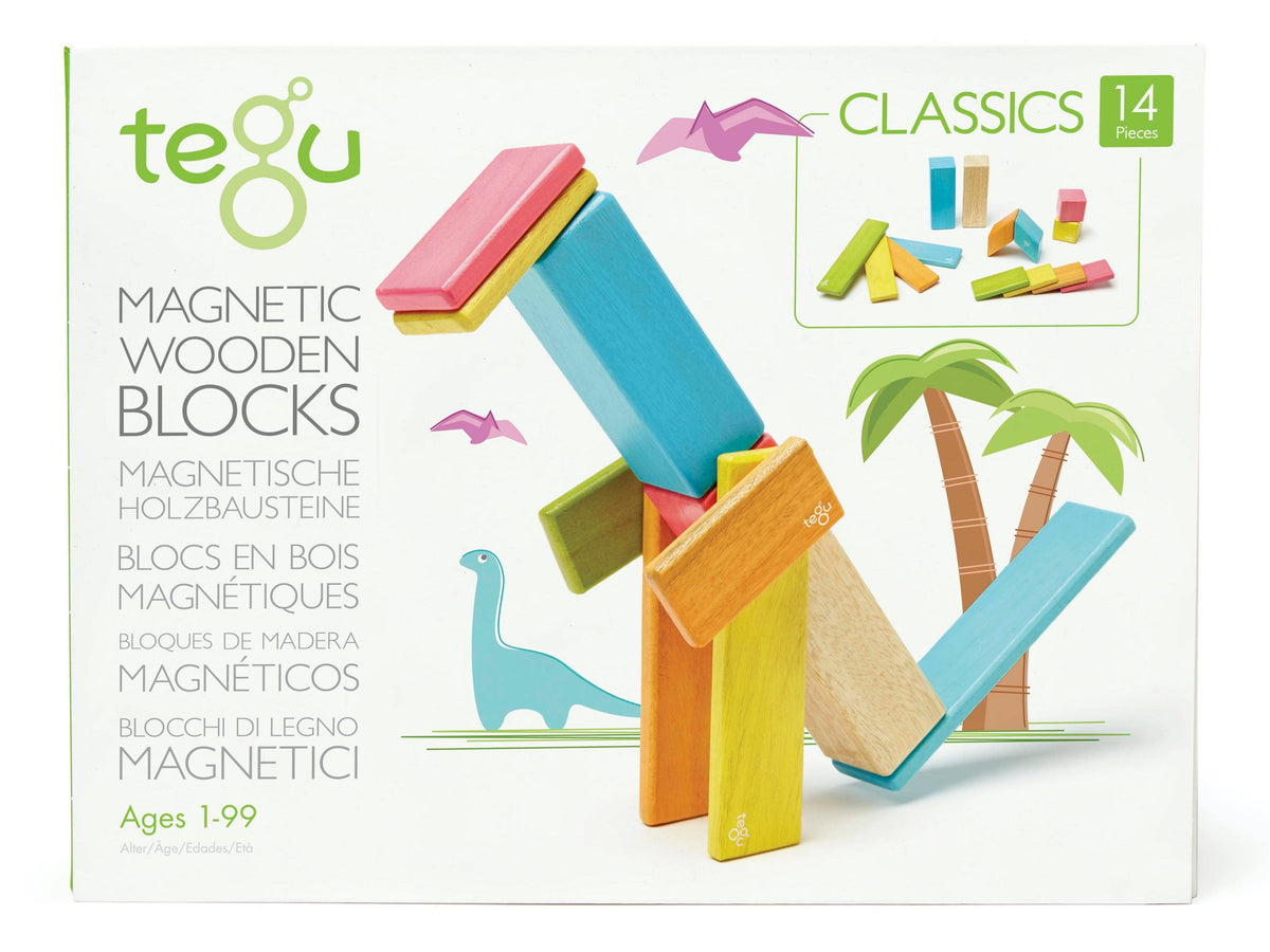 Magnetic wooden blocks set