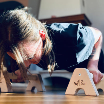 Koka parallettes